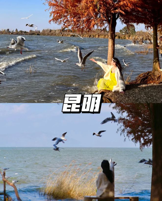 南旅游五日游攻略 五个地方轻松拿捏！OG真人11月去云南旅游怎么玩？云(图1)