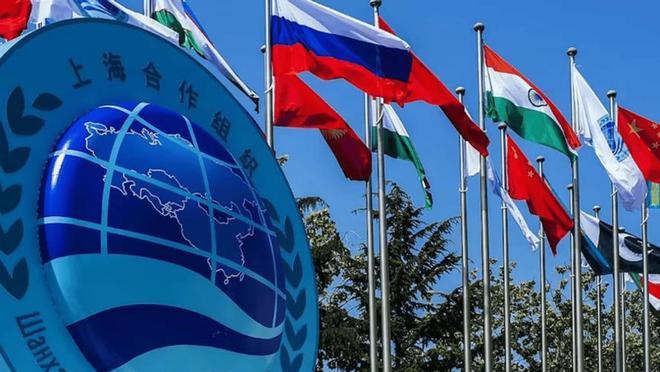 度得到真正的实惠莫迪发文感谢中国OG真人全员赞成天津宣言通过印(图8)